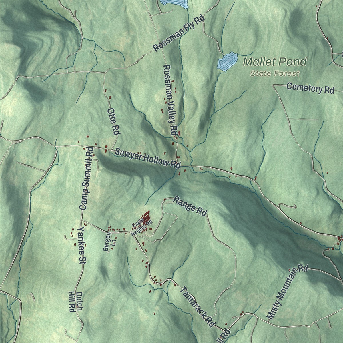Close-up 1 of the Fulton Town (Schoharie County), New York map artwork