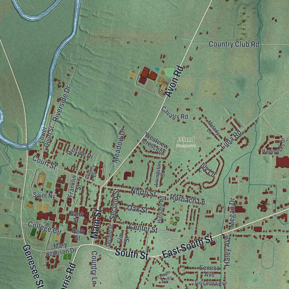 Close-up 1 of the Geneseo, New York map artwork