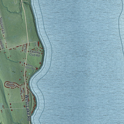 Close-up 2 of the Geneva Town (Ontario County), New York map artwork