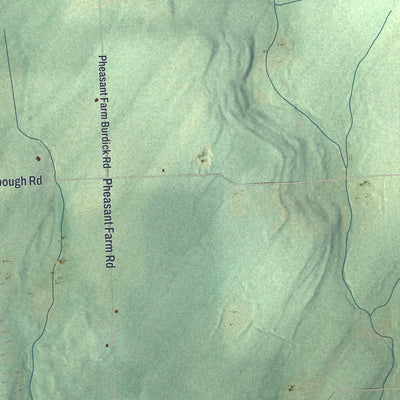 Close-up 1 of the German, New York map artwork