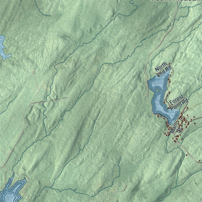 Close-up 2 of the Greenfield, New York map artwork