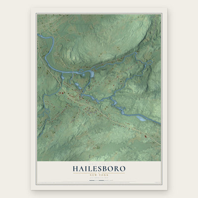 Hailesboro, New York map print, the full design