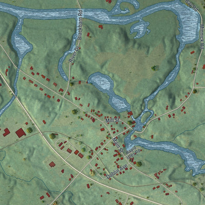 Close-up of the map of Hailesboro, New York print showing street and building detail