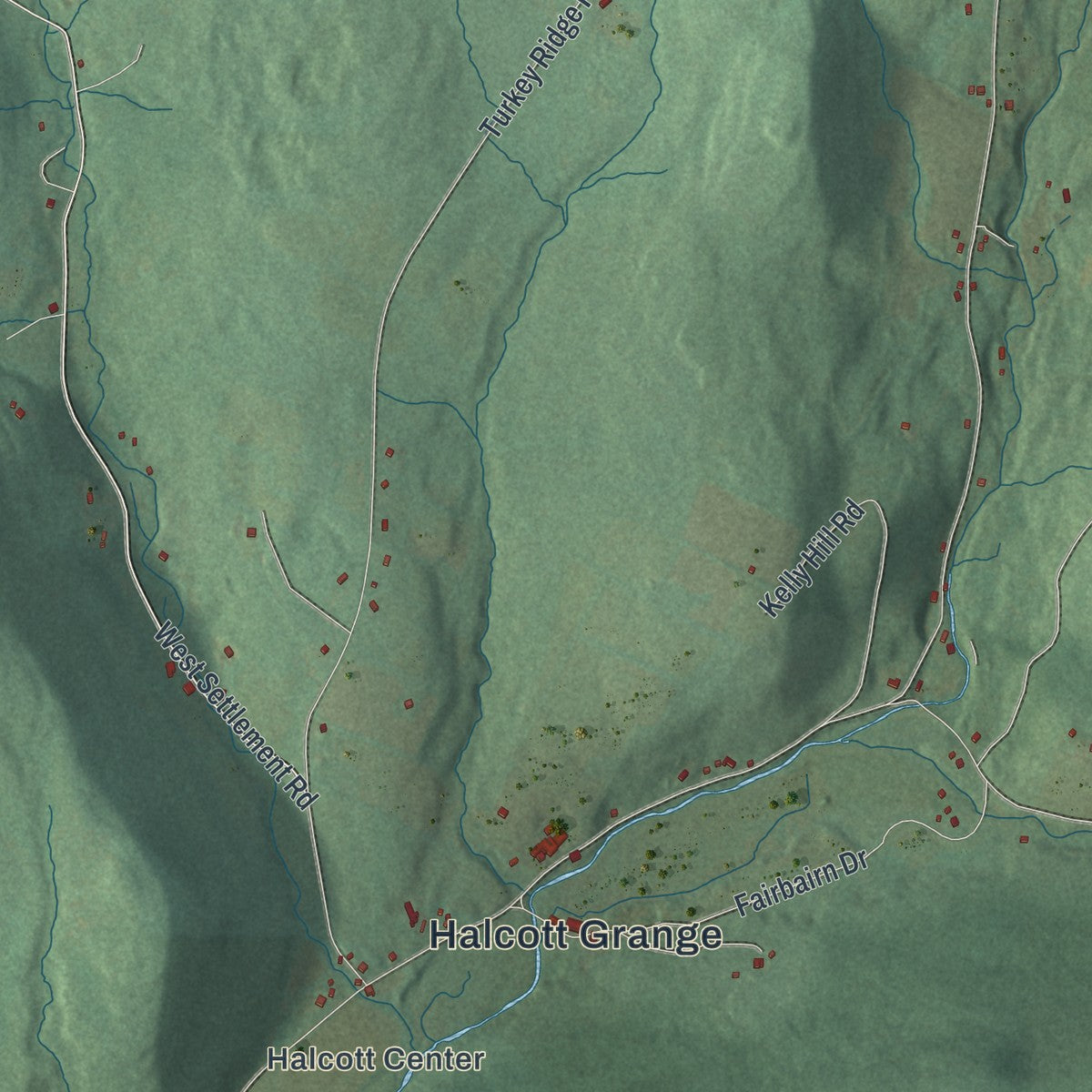 Close-up 1 of the Halcott, New York map artwork