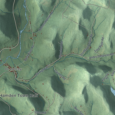 Close-up 2 of the Hamden, New York map artwork