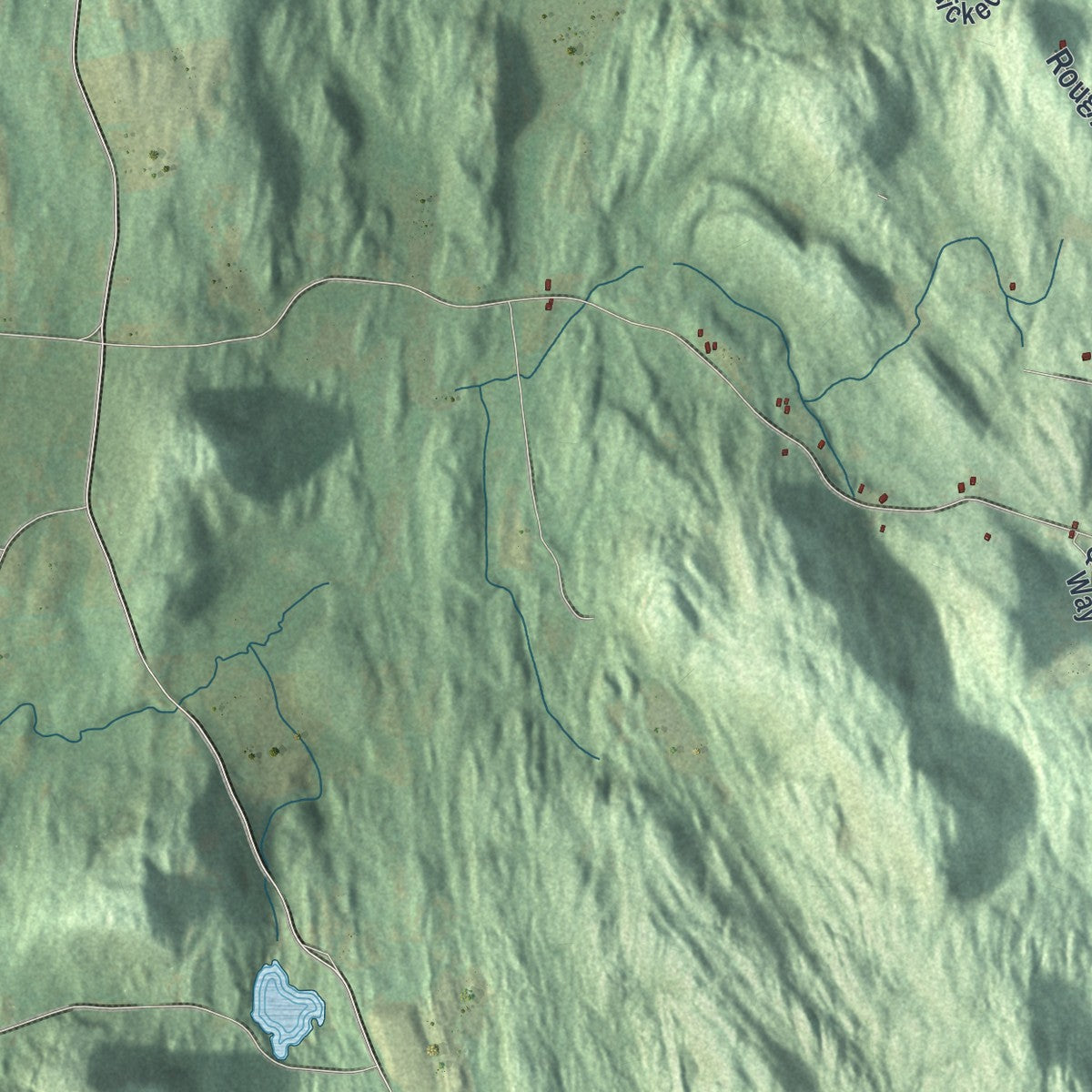 Close-up 2 of the Hampton, New York map artwork