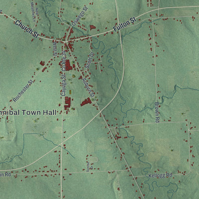 Close-up 1 of the Hannibal, New York map artwork