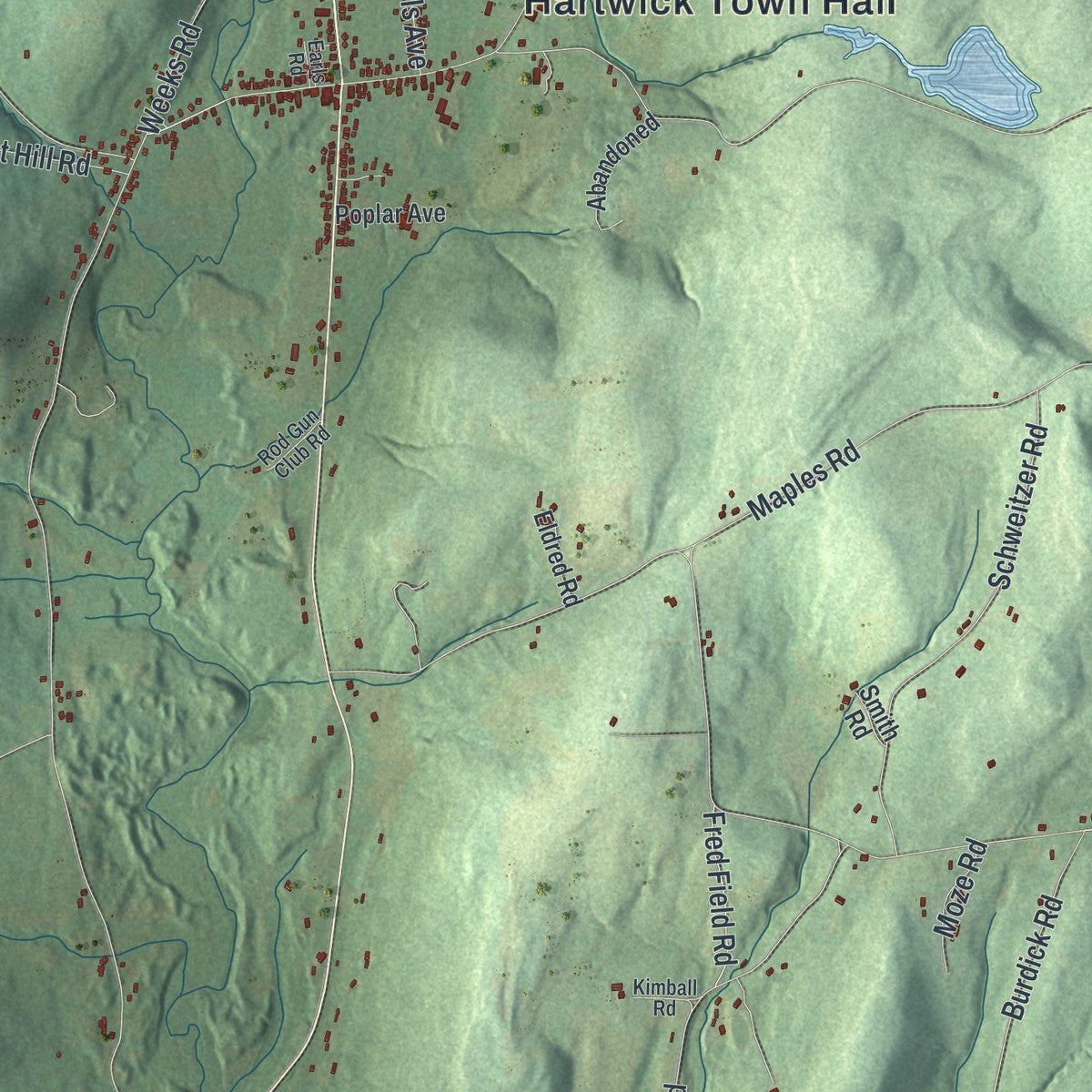 Close-up 1 of the Hartwick, New York map artwork