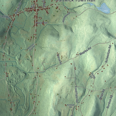Close-up 1 of the Hartwick, New York map artwork