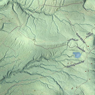 Close-up 2 of the Herkimer, New York map artwork