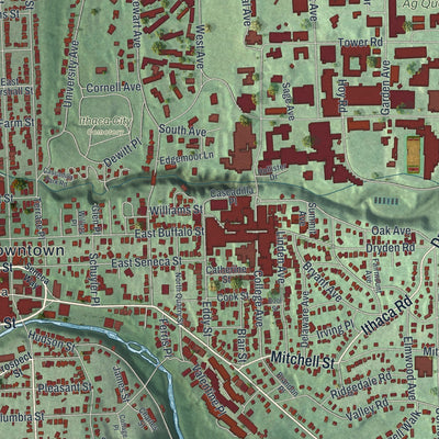 Close-up of the map of the City of Ithaca, Tompkins County, New York print showing street and building detail