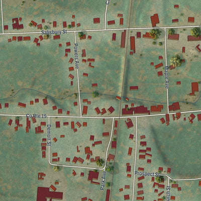 Close-up of the map of Lacona, New York print showing street and building detail