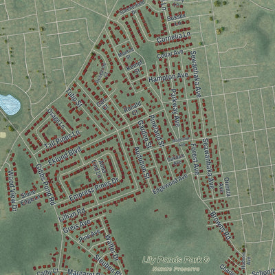 Close-up 2 of the Lake Ronkonkoma, New York map artwork