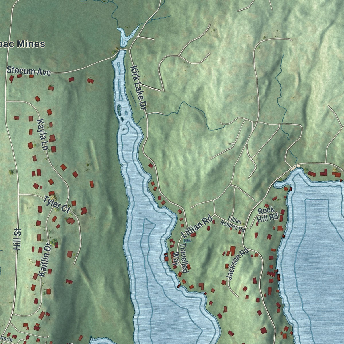 Close-up 2 of the Mahopac, New York map artwork