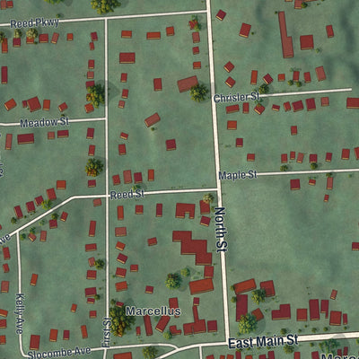Close-up 1 of the Marcellus, New York map artwork