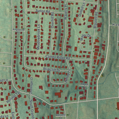 Close-up 2 of the Monsey, New York map artwork