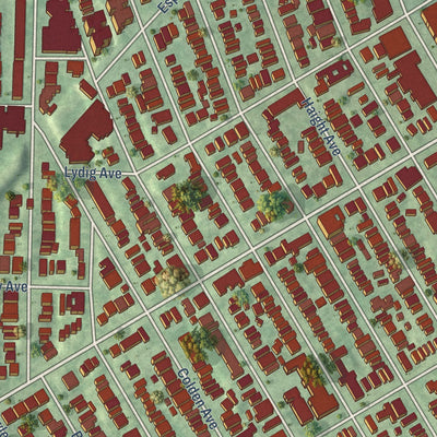Close-up of the map of Morris Park, New York print showing street and building detail