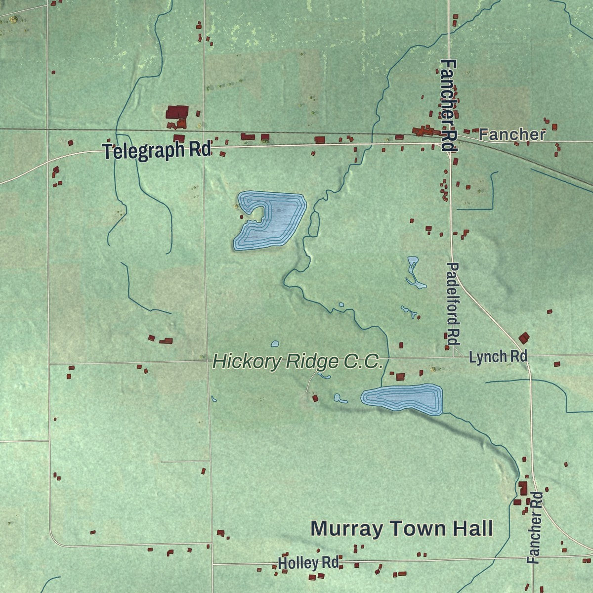 Close-up 2 of the Murray, New York map artwork