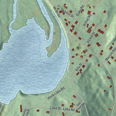Close-up of the map of Napanoch, New York print showing street and building detail