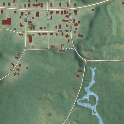 Close-up of the map of Natural Bridge, New York print showing street and building detail