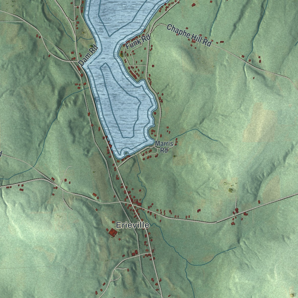 Close-up 1 of the Nelson, New York map artwork