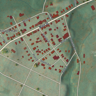 Close-up of the map of Nelsonville, New York print showing street and building detail