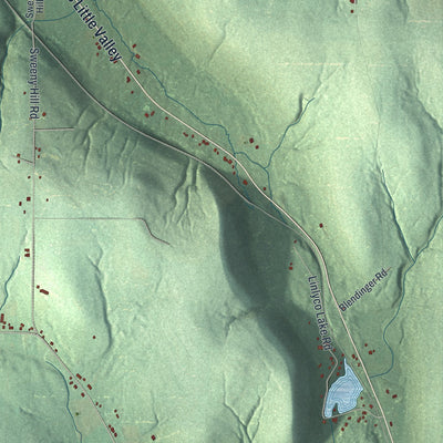 Close-up 2 of the New Albion, New York map artwork