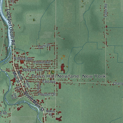 Close-up 2 of the Newfane, New York map artwork