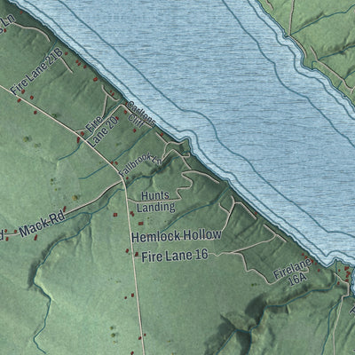 Close-up 2 of the Niles, New York map artwork