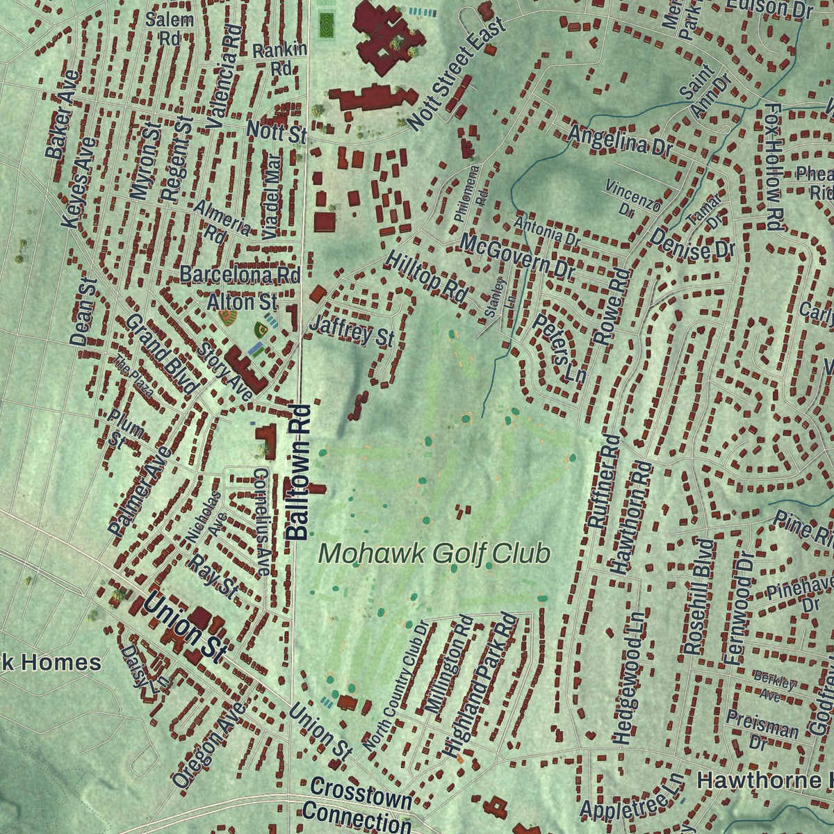 Close-up 1 of the Niskayuna, New York map artwork