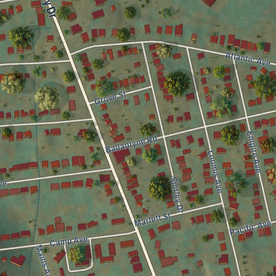 Close-up of the map of North Valley, New York print showing street and building detail