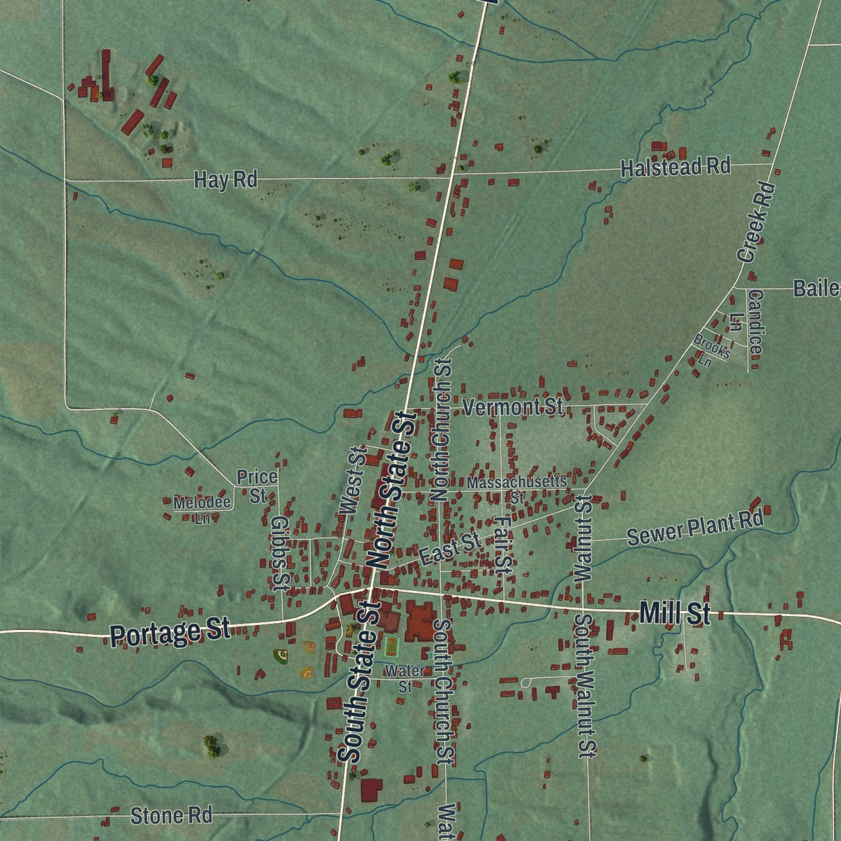 Close-up 1 of the Nunda, New York map artwork