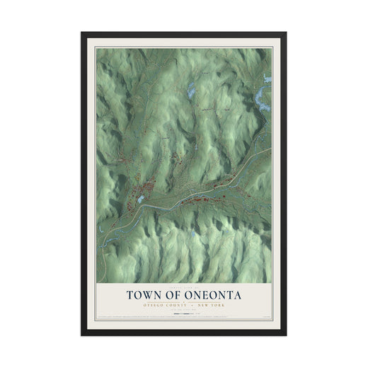 Map of the Town of Oneonta, Otsego County, New York, 12 x 18 inch print in a black wood frame