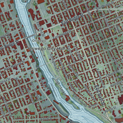 Close-up of the map of the City of Oswego, Oswego County, New York print showing street and building detail