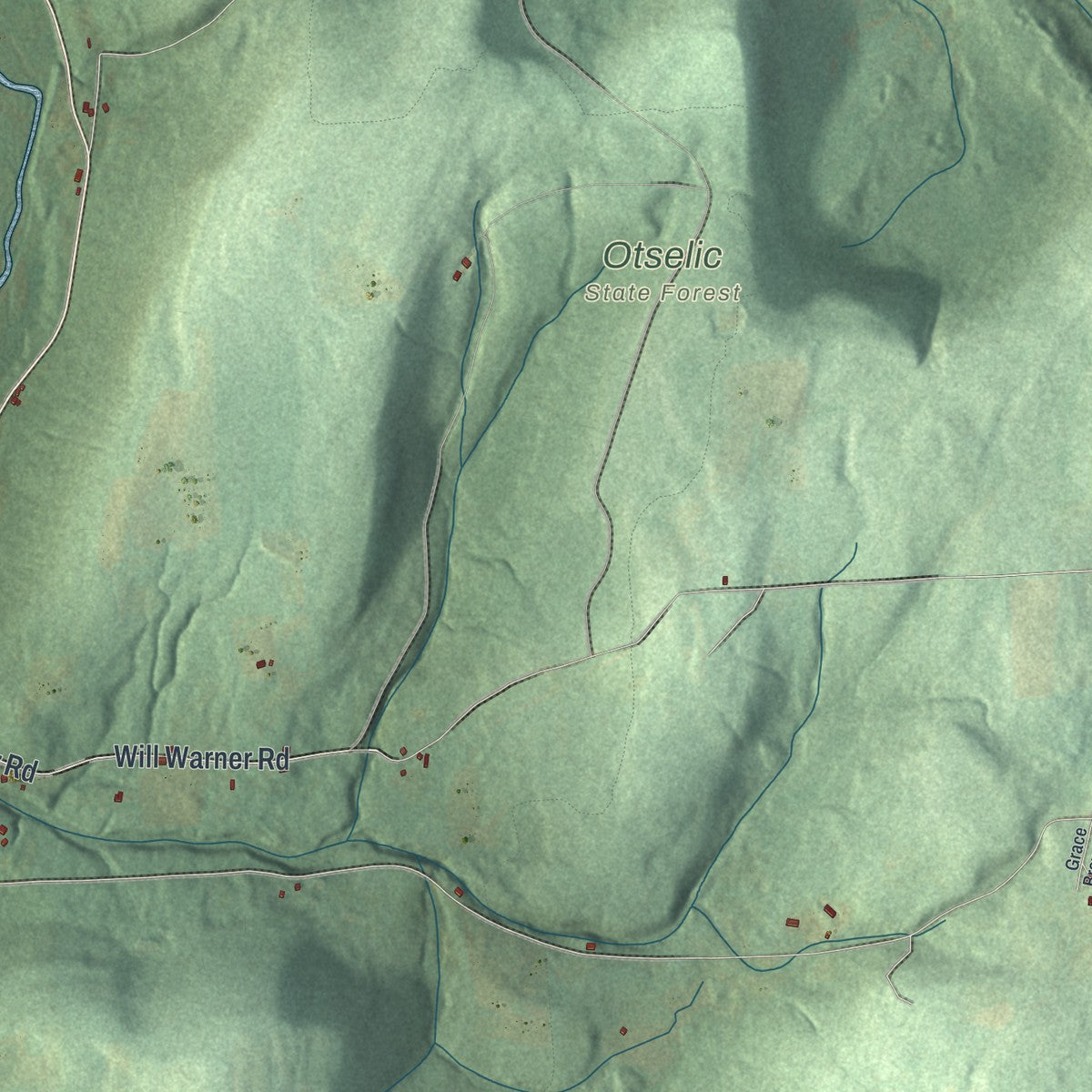 Close-up 2 of the Otselic, New York map artwork