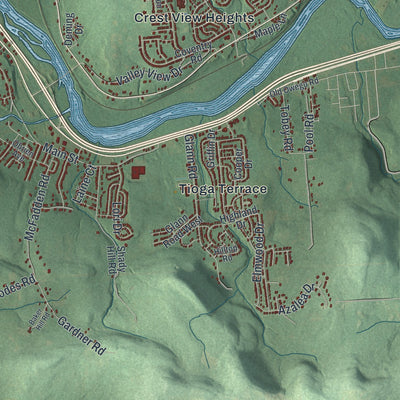 Close-up 2 of the Owego, New York map artwork