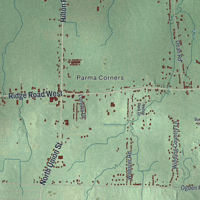 Close-up 2 of the Parma, New York map artwork