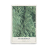 Map of Petersburgh, New York, 12 x 18 inch unframed archival matte print