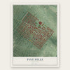 Pine Hills, New York map print, the full design