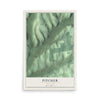 Pitcher, New York map print, 12" x 18" Archival Matte Print mockup