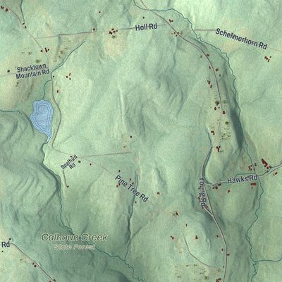 Close-up 2 of the Pittsfield, New York map artwork