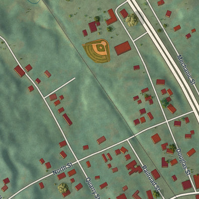 Close-up of the map of Port Leyden, New York print showing street and building detail