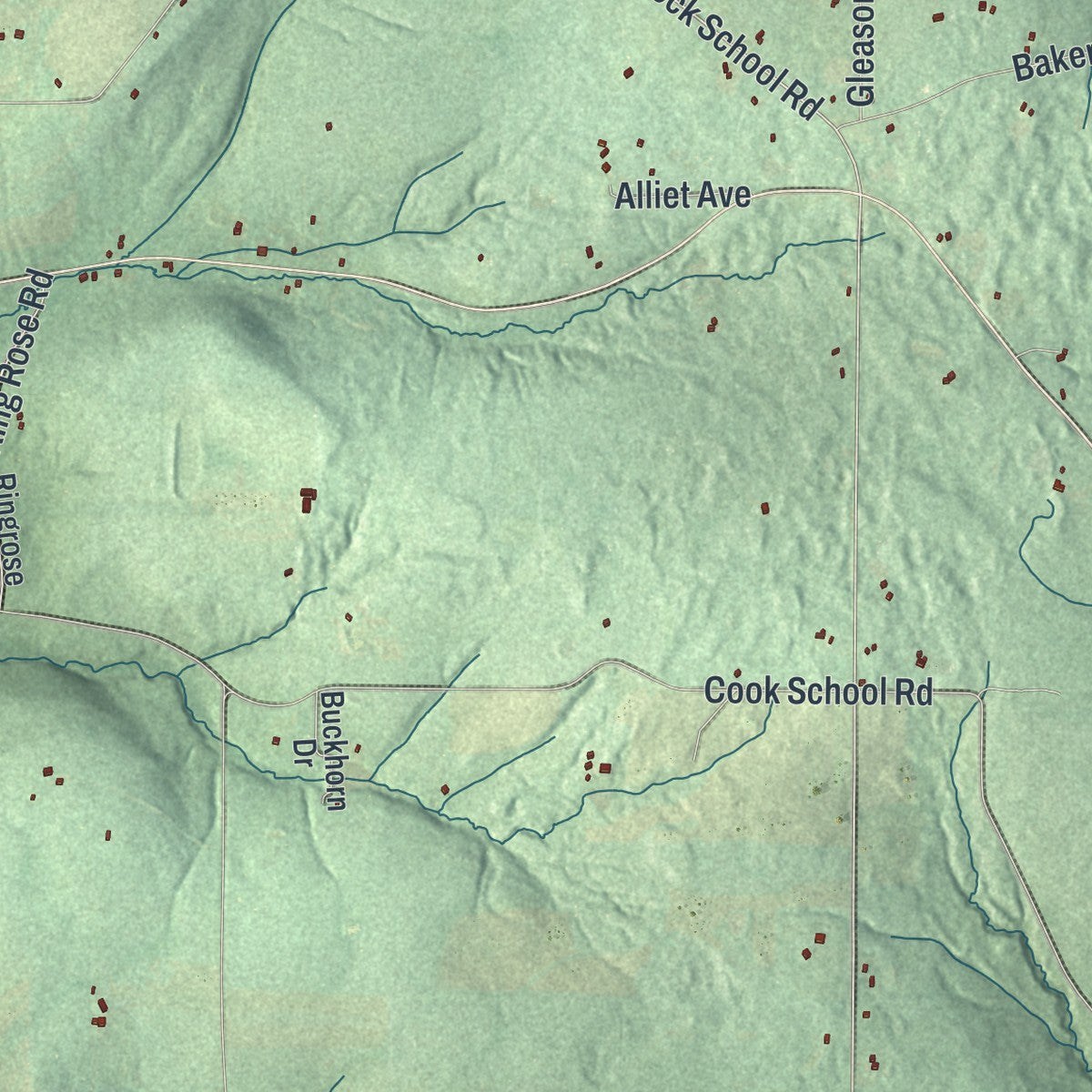 Close-up 1 of the Prattsburgh, New York map artwork