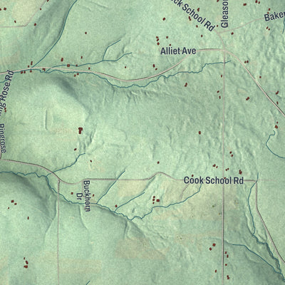 Close-up 1 of the Prattsburgh, New York map artwork