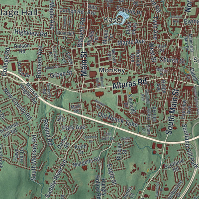 Close-up 1 of the Ramapo, New York map artwork