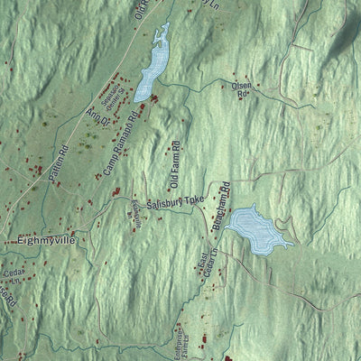 Close-up 1 of the Rhinebeck, New York map artwork