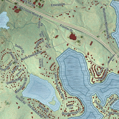 Close-up of the map of Rock Hill, New York print showing street and building detail