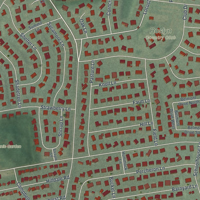 Close-up 2 of the Roslyn Heights, New York map artwork
