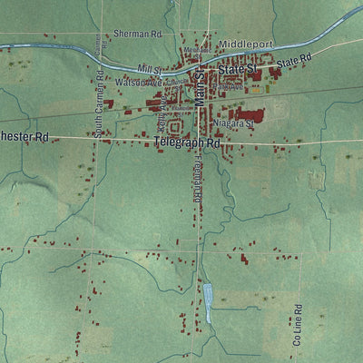 Close-up 1 of the Royalton, New York map artwork