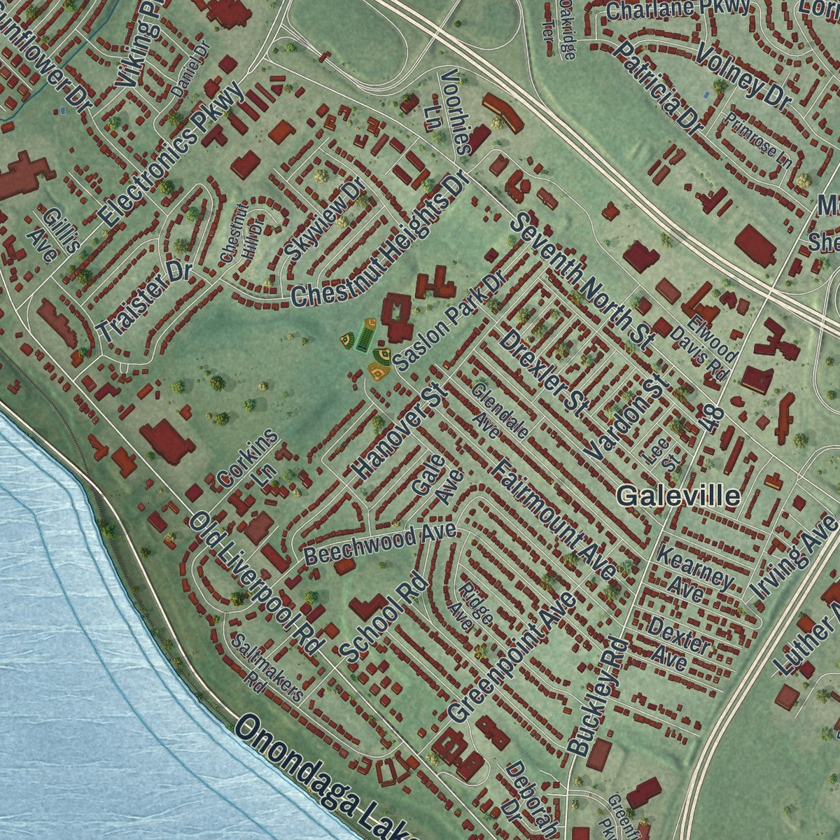 Close-up 1 of the Salina, New York map artwork